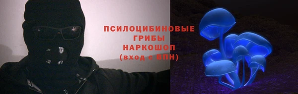 PSILOCYBIN Абдулино