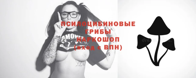 прущая мука Абаза