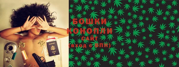 PSILOCYBIN Абдулино