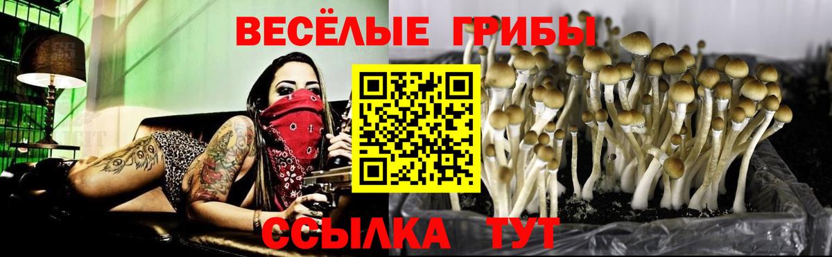 Бийск  Галлюциногенные грибы MAGIC MUSHROOMS  Вход с VPN 